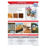 BegerDrite ผลิตภัณฑ์ป้องกันปลวกและเชื้อรา ชนิดทา (สูตรน้ำ) กลิ่นไม่ฉุน สีชา 1แกลลอน