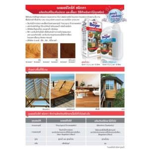  เบเยอร์ไดร้ท์ ป้องกันปลวกและเชื้อรา ชนิดทา (สูตรน้ำมัน) สีน้ำตาลดำ 1กระป๋อง